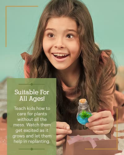 image for Bloomify Venus Fly Trap, Grow Your Own Venus Flytrap in a 100% Self Su