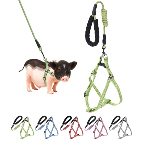 ~jsbOn[lXA߉\ȏ^u^n[lX[VCtBjeBX^C[hƃ\tgtH[nht^璆^ybg؃EH[LOg[jOWMO(O[AM)