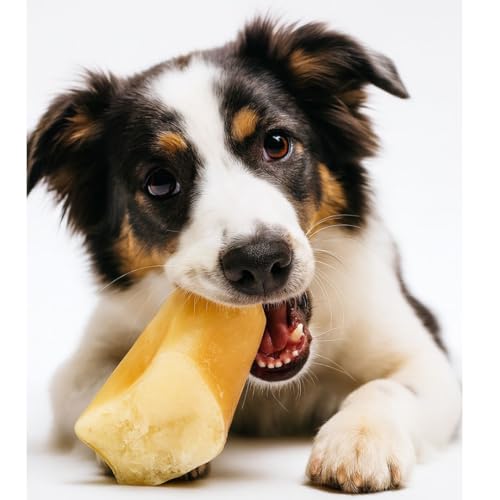 ANIMALUJOS - Pezuñas Naturales Ternera para Perros Pack 10 Uds Snack Duradero Masticable | Con o Sin Relleno de Paté | Chuche Saludable, Limpieza Dental y Antiestrés (10 Unidades, Pezuña Rellena Paté)