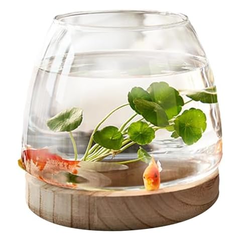 Clear Glass Fish Bowl with Wooden Base Cover