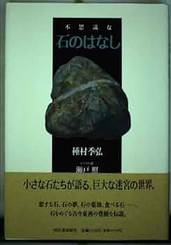 不思議な石 41L31DsAuaL._AC_UF350,