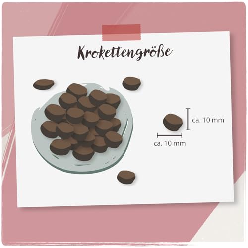 Venandi Animal – Premium Katzenfutter – Kitten – Geflügel, mit viel frischem Fleisch, Trockenfutter, getreidefrei, 1er Pack (1 x 1,5kg)