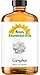 Camphor (Huge 8oz) Best Essential Oil