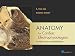 Anatomy for Cardiac Electrophysiologists: A Practical Handbook