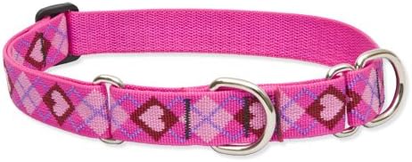 LupinePet Originals 1" Puppy Love 19-27" Martingale Collar for Large Dogs