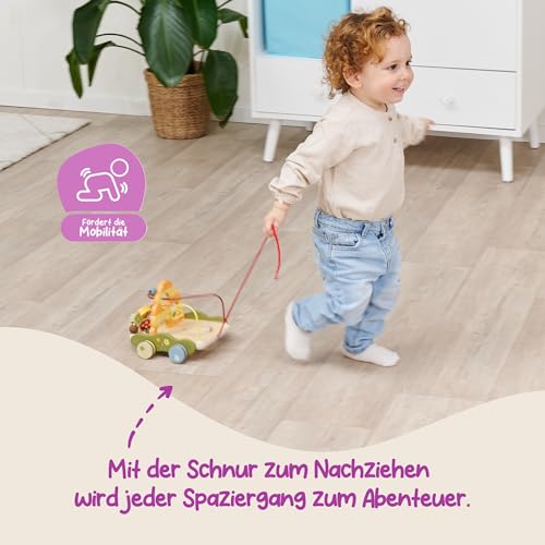 Eichhorn EH Chariot à Tirer pour aider bébé à marcher sans glisser - 3