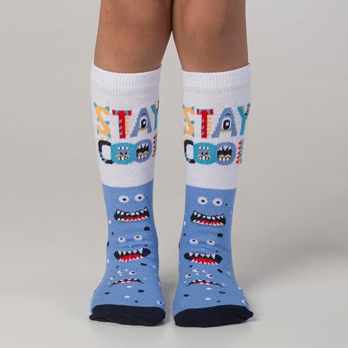 Kit 5 Pares Meia Infantil Cano Alto Estampa Divertida Tendência Engraçada Desenho (BR, Numérico, 24,