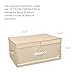 iwill CREATE PRO 21.7X16.3X10.2, Folding Clothes Storage Bins, Removable Dividers, Closet Storage System, Beige