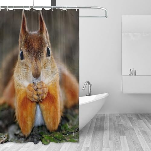 Rideau de douche écureuil en polyester imprimé 183x183 cm avec 12 œillets