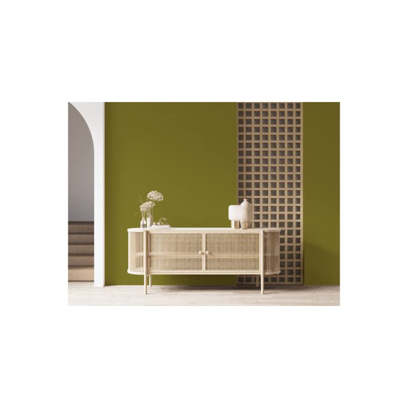 Peinture Vert Kaki Acrylique Brexit - Aspect Satin - Peinture Mur, Plafond, Boiserie & Balcon - Lessivable - Séchage En 30 min - COV A+ - Fabriquée En France - 5 L - BARBOUILLE