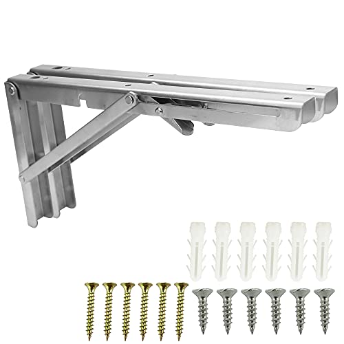 uPbg I󂯋 lWt XeX ܂ L^ [I 2{ ω׏d120kg (30.2cm Vo[)