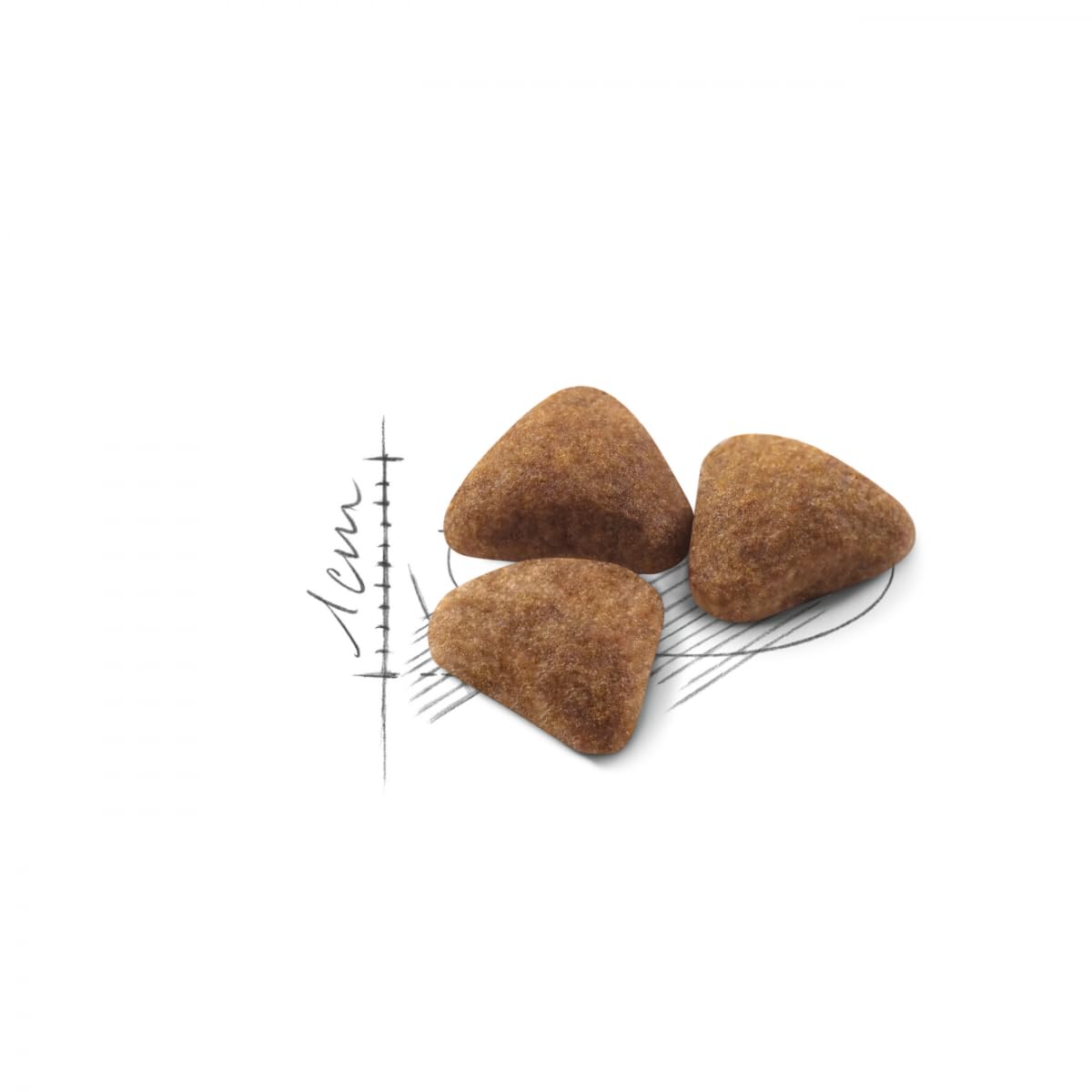 Amazon.co.jp: ロイヤルカナン FHN インドア 2Kg 猫用 : ペット用品