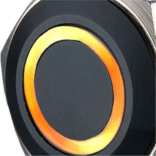 Interrupteur antivandale bouton-poussoir 22mm noir 1NO1NC verrouillage LED 6V