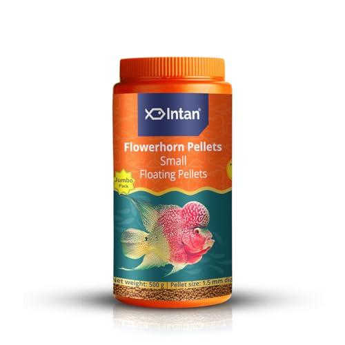 Image of Intan Flower Horn Pellets (Small 1.5mm Floating) | 500gm - Highly Nutritious Ornamental Fish Food for Flowerhorn & Kamfa | Growel Feeds