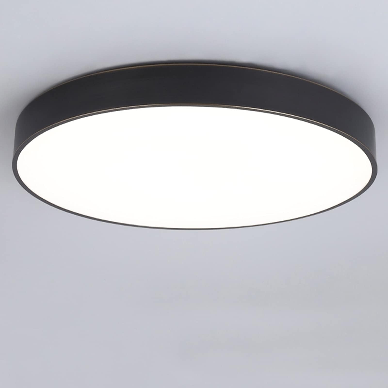 Ganeed LED Ceiling Lights, Modern Ceiling Lamp, 24W 30cm Black Round Flush Mount Lighting Fixture, Ceiling Lighting for Dining Room Hallway Living Room Bedroom Office Kitchen