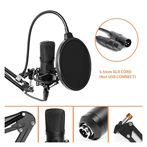 Microphone studio XLR cardioïde haute fidélité pour enregistrement