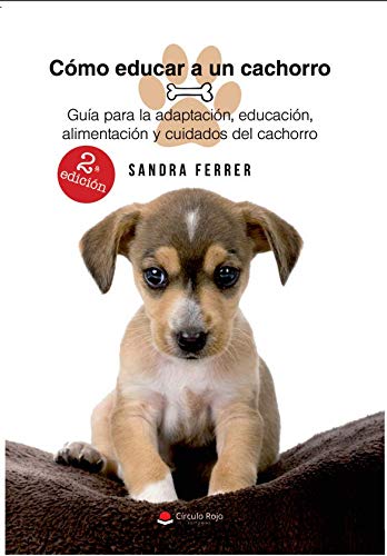 Cómo educar a un cachorro: Guía de adaptación, educación, alimentación y cuidados de tu cachorro