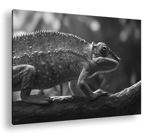Toile murale caméléon 90x60 impression d'art noir et blanc XXL
