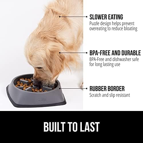 Why Is My Puppy Overeating