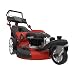 Produktbild Rasenmäher BIG WHEELER 554.1 R TRIKE