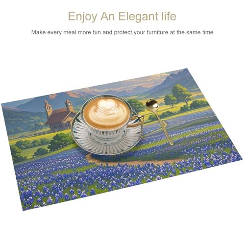 Sets de table imprimés bleus du Texas en PVC haute qualité