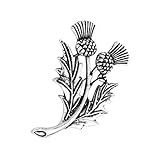 LBSBO Double Scottish Thistle Brooch Pin Sassenach ScottishGift Scottish Brooch (Out Brooch Pin)