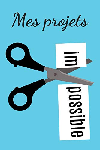 Mes projets (French Edition)