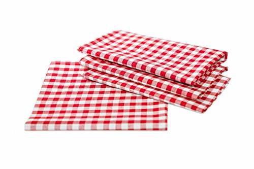 texpot Lot de 4 sets de table à carreaux rouges et blancs - Dimensions : 33 x 45 cm - Élégants sets de table 100 % coton - Style maison de campagne