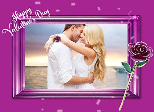 zjchao 24K Rose for Her, Eternal Love Plated Rose Flower, Romantic Present for Wife, Mom, Grandma, Anniversary, Birthday, Wedding ()