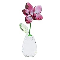 Amazon.co.jp: スワロフスキー SWAROVSKI クリスタル フィギュア