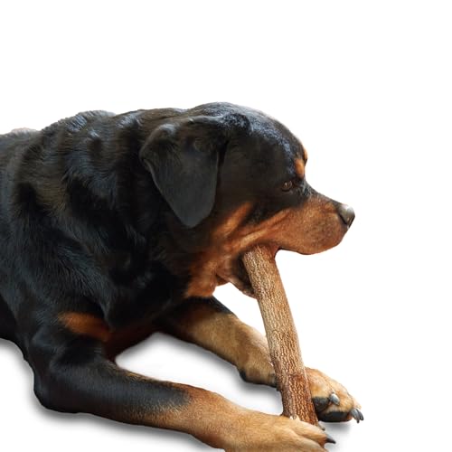 Image of Neem Stick for Dog Chew, 100% Organic, Natural Toothpaste, Teething, Dental Care, (Large Dog >44LBs, Pack of 3 Pieces)