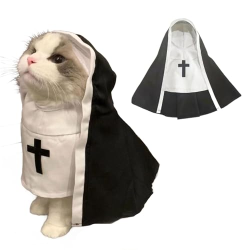 AttRex p Lp N/C/Chl nEB RXvߑ ybg ϑ  ^ ^ ʔ  2s hbOEFA (M,C)