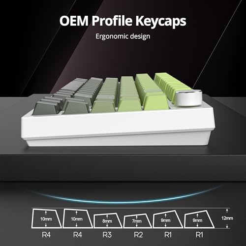 Image of PBT Gradient Green Keycaps, Shine Through Cherry Profile Keycaps, Double Shot Custom Minimalist Style for MX Switched Mechanical Keyboard