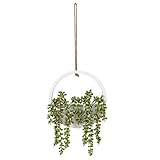 Hanging Plant Artificial Hanging Plant - Artificial Succulents Fake Plant for Home Wall Decor - 18' Faux Hanging Plants Comes with A Lanyard