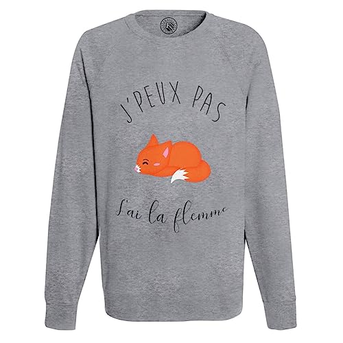 Sweat j'peux pas j'ai la flemme homme pull confort renard roux