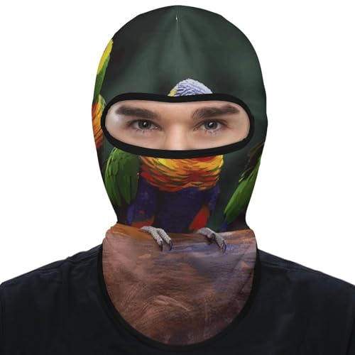 Balaclava para hombre y mujer, máscara para esquí con diseño de loros arcoíris, cubreboca completo para ciclismo miniatura 1