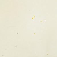 Vista 2 de Hanji - Papel para impresora A4, 80 gsm, papel de copia tradicional coreano de morera, 100 hojas, papel de impresora de copia de alta calidad, 8.3 x