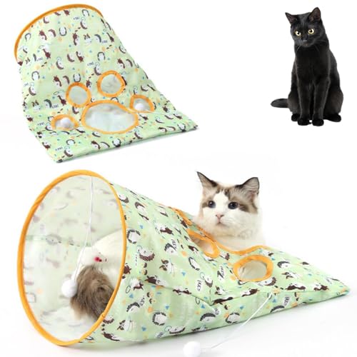 Lifetips {xC Bombay Lgl Lbggl ܂肽ݎ ybggl Lp   B  ^s XgXU RpNg[ 􂦂 iC {[t 炵t ܂݃gl L