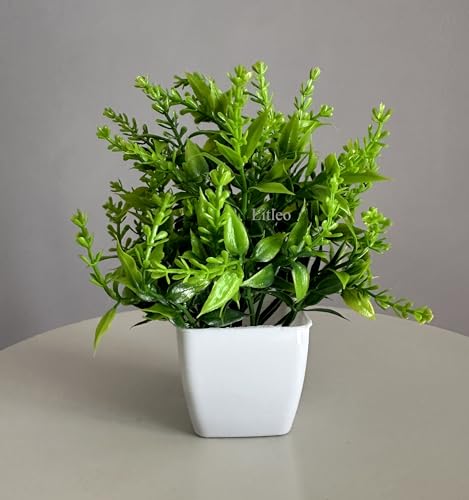 Litleo Artificial Plants Mini Fake Potted Plants, Small Eucalyptus Potted Faux Decorative Grass Plant with White Pot for Home Decor, Indoor, Office, Desk, Shelf, Table Decoration (Pack of 10)