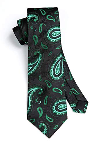 Image of HISDERN Ties for Men Paisley Tie and Pocket Square Woven Classic Floral Mens Ties Handkerchief Set Wedding Party Necktie