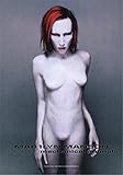 marilyn manson holy wood album lyrics Flagge Fahne Posterflagge Global Merchandising Marilyn Manson Flagge Fahne Mechanical Animals POSTERFLAGGE Stoff Poster Flag
