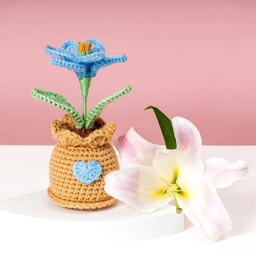 Image of Rarejoy Gift for Women | Valentine Gift for Girlfriend | Birthday Present for Wife | Handcrafted Crochet Lily Flower, Moon Dreamcatcher, Monks & Greeting | Anniversary, Rakshabandhan, Gift for her
