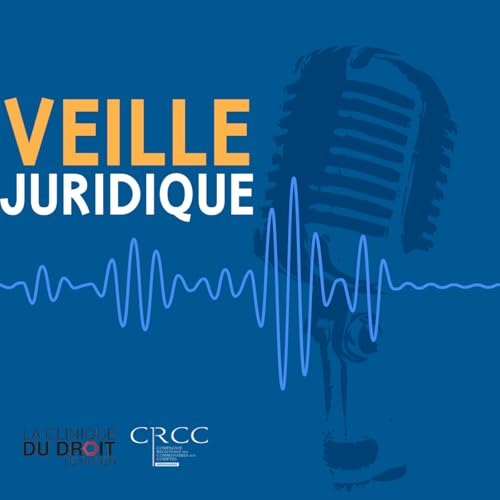 [Sp&eacute;cial] - La r&eacute;vision de la Directive comptable n&deg;2013/34/UE sur la d&eacute;finition de la taille des entreprises - EP.03