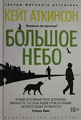 Bolshoe nebo [Russian] 5389178645 Book Cover