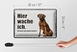 Femer Blechschild Spruch 30x20cm Rodhesian Ridgeback hier wache ich