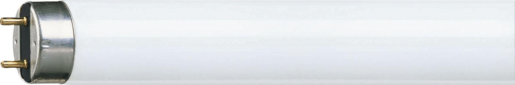 PHILIPS MASTER TL - D Super 80 36W - 865 Luce del Giorno | 120cm