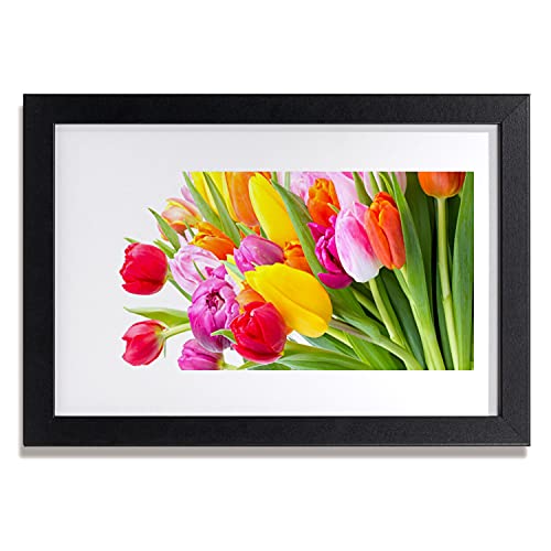 Affiche encadrée 30x20 cm Tulup fleur de tulipe avec cadre mural en MDF