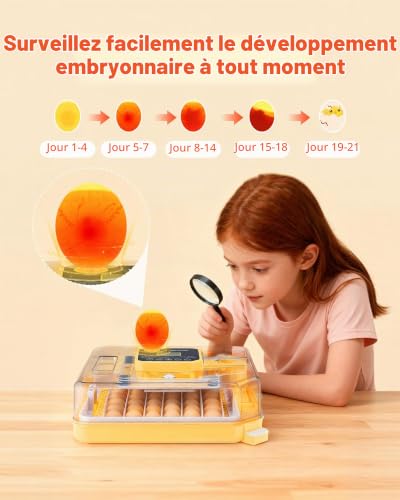 Photo complémentaire