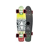 Penny For a Purpose Complete Skateboard, Ethiopia X BB, 22