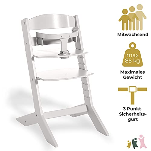 Geuther Hochstuhl SYT Kinderstuhl mitwachsender Baby Hochstuhl mit Babyliege komfortabler Baby Stuhl mit ergonomisch geschwungener Rückenlehne massiver Bauchbügel Lichtgrau